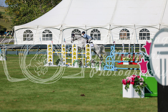 2025 - Shea - Fall Finale - Saturday September 13th - 13720