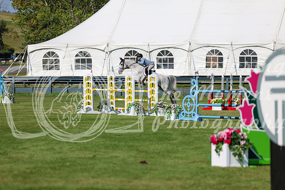 2025 - Shea - Fall Finale - Saturday September 13th - 13721