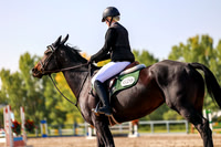 2025 - Mara - Fall Finale - Saturday September 13th - 08002