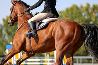 2025 - Mara - Fall Finale - Saturday September 13th - 07395