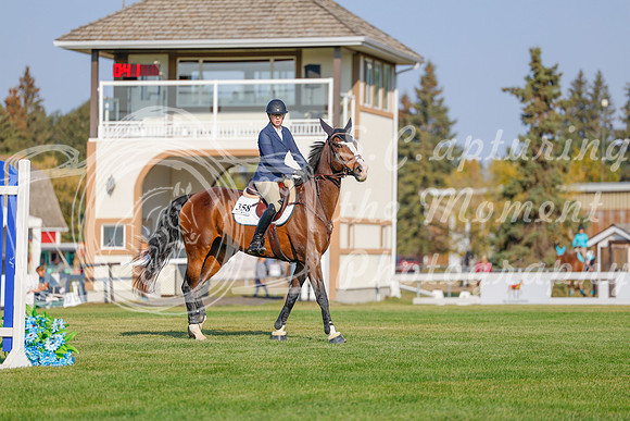 2025 - Haylee - Harvest Horse Show - Sunday, September 13th 04471