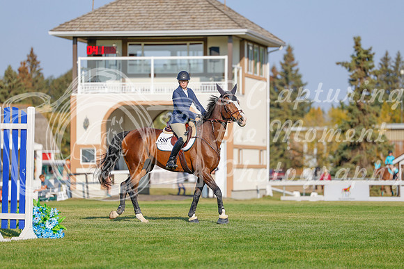 2025 - Haylee - Harvest Horse Show - Sunday, September 13th 04467