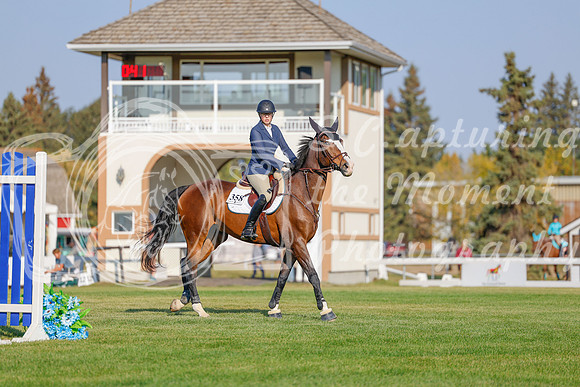 2025 - Haylee - Harvest Horse Show - Sunday, September 13th 04469