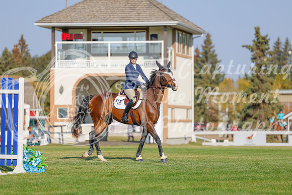 2025 - Haylee - Harvest Horse Show - Sunday, September 13th 04468