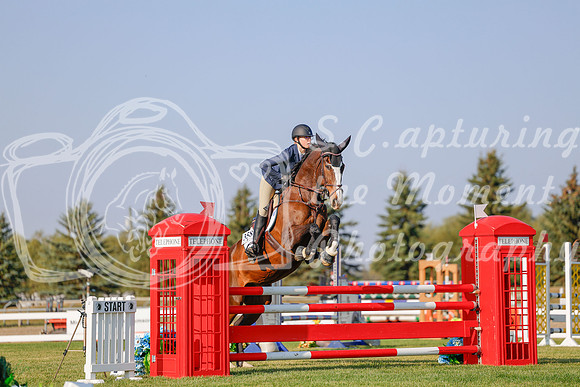 2025 - Haylee - Harvest Horse Show - Sunday, September 13th 04472