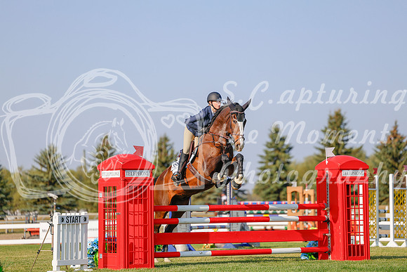 2025 - Haylee - Harvest Horse Show - Sunday, September 13th 04474