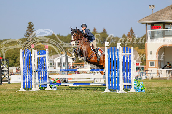 2025 - Haylee - Harvest Horse Show - Sunday, September 13th 04479