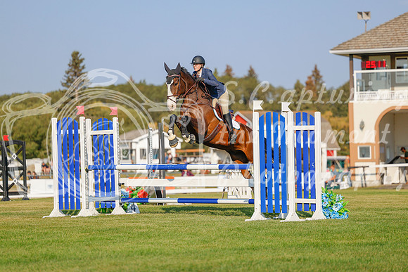 2025 - Haylee - Harvest Horse Show - Sunday, September 13th 04480