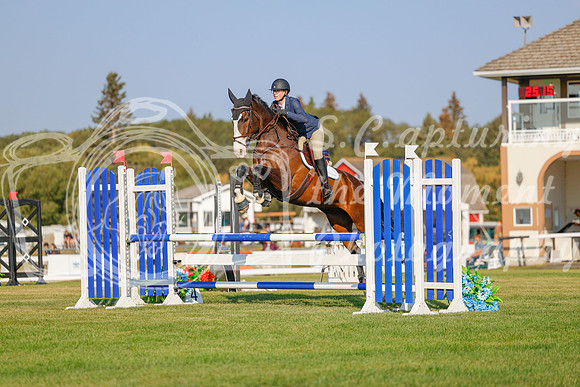 2025 - Haylee - Harvest Horse Show - Sunday, September 13th 04481