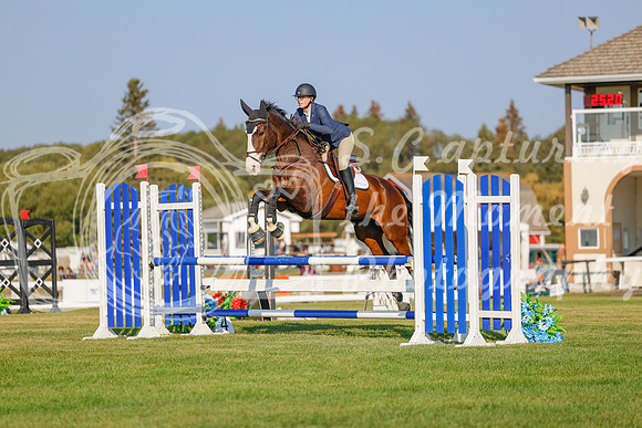 2025 - Haylee - Harvest Horse Show - Sunday, September 13th 04483