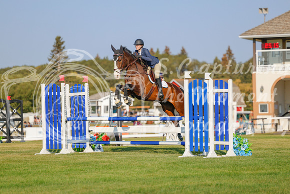 2025 - Haylee - Harvest Horse Show - Sunday, September 13th 04482