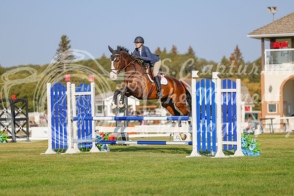 2025 - Haylee - Harvest Horse Show - Sunday, September 13th 04484
