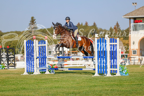 2025 - Haylee - Harvest Horse Show - Sunday, September 13th 04485