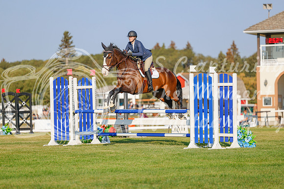 2025 - Haylee - Harvest Horse Show - Sunday, September 13th 04486