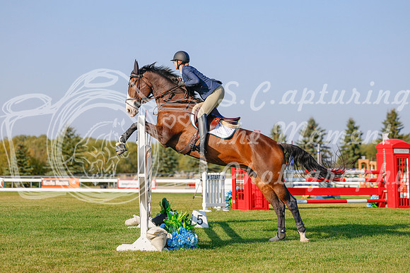 2025 - Haylee - Harvest Horse Show - Sunday, September 13th 04489