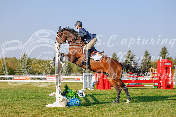 2025 - Haylee - Harvest Horse Show - Sunday, September 13th 04488
