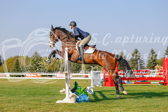 2025 - Haylee - Harvest Horse Show - Sunday, September 13th 04491