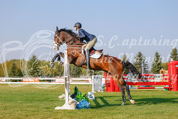 2025 - Haylee - Harvest Horse Show - Sunday, September 13th 04490
