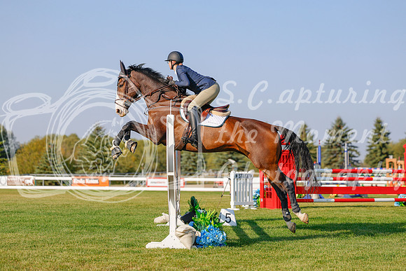 2025 - Haylee - Harvest Horse Show - Sunday, September 13th 04492