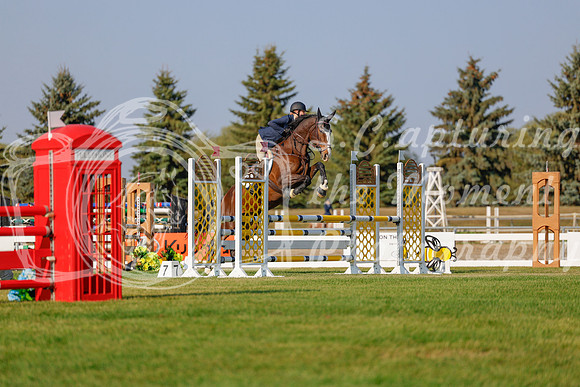 2025 - Haylee - Harvest Horse Show - Sunday, September 13th 04496