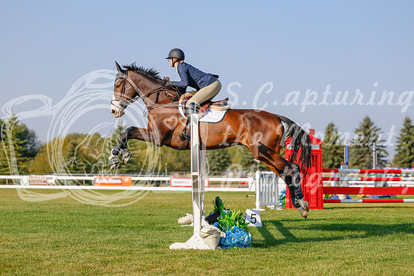2025 - Haylee - Harvest Horse Show - Sunday, September 13th 04494