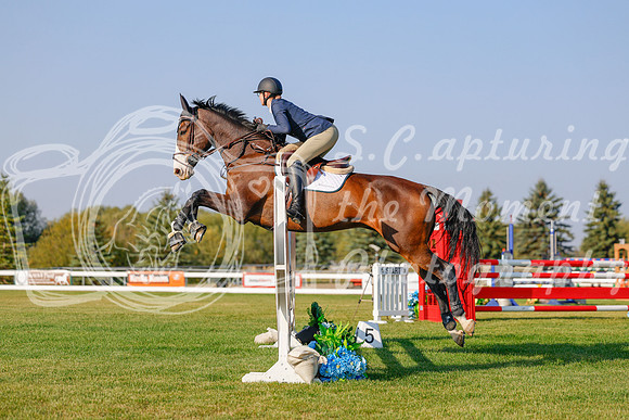 2025 - Haylee - Harvest Horse Show - Sunday, September 13th 04493