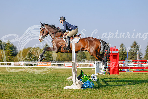 2025 - Haylee - Harvest Horse Show - Sunday, September 13th 04495