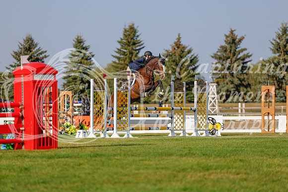 2025 - Haylee - Harvest Horse Show - Sunday, September 13th 04497