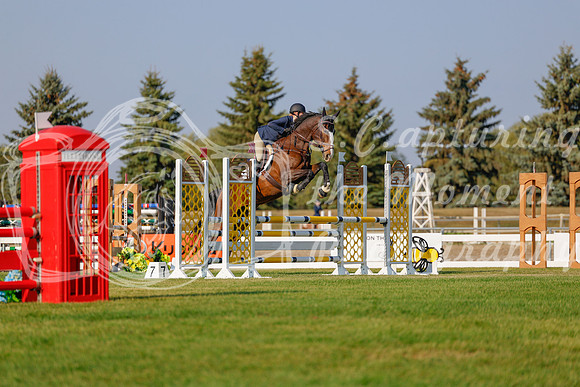 2025 - Haylee - Harvest Horse Show - Sunday, September 13th 04498