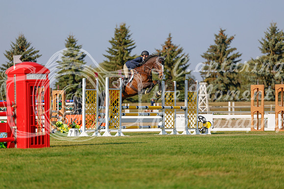 2025 - Haylee - Harvest Horse Show - Sunday, September 13th 04499