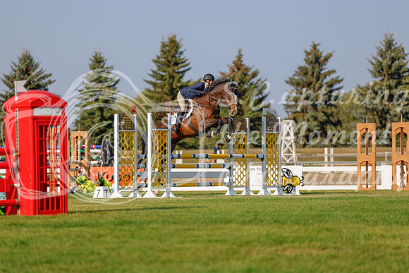 2025 - Haylee - Harvest Horse Show - Sunday, September 13th 04500