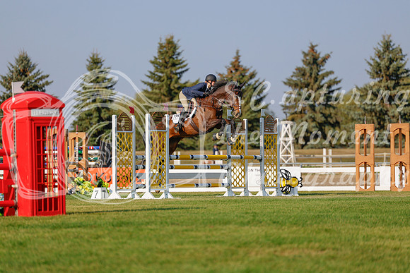 2025 - Haylee - Harvest Horse Show - Sunday, September 13th 04501