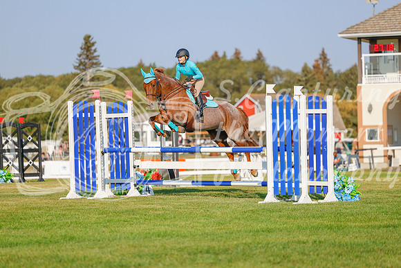 2025 - Haylee - Harvest Horse Show - Sunday, September 13th 04548