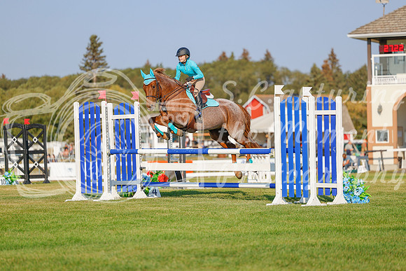 2025 - Haylee - Harvest Horse Show - Sunday, September 13th 04549