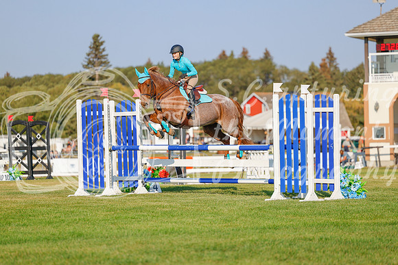 2025 - Haylee - Harvest Horse Show - Sunday, September 13th 04550