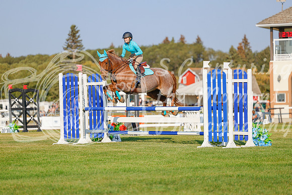2025 - Haylee - Harvest Horse Show - Sunday, September 13th 04551
