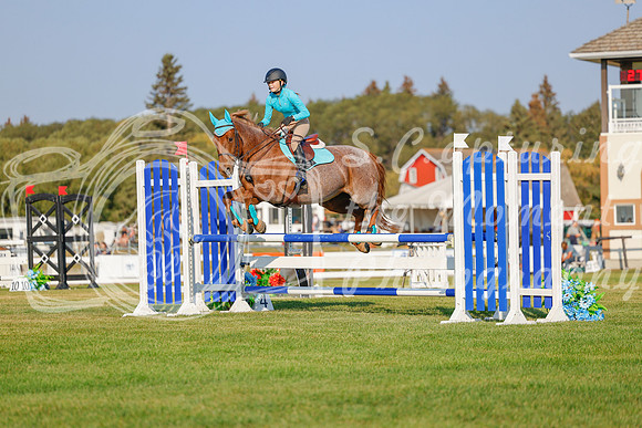 2025 - Haylee - Harvest Horse Show - Sunday, September 13th 04552