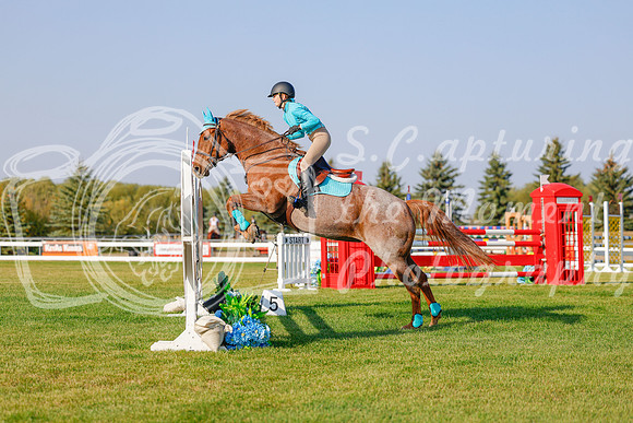 2025 - Haylee - Harvest Horse Show - Sunday, September 13th 04553