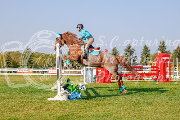 2025 - Haylee - Harvest Horse Show - Sunday, September 13th 04554