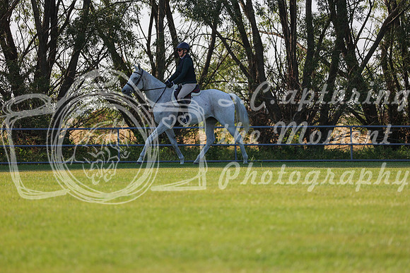 2025 - Conor - Harvest Horse Show - Sunday, September 13th 02069