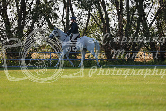 2025 - Conor - Harvest Horse Show - Sunday, September 13th 02070
