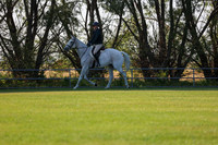 2025 - Conor - Harvest Horse Show - Sunday, September 13th 02071
