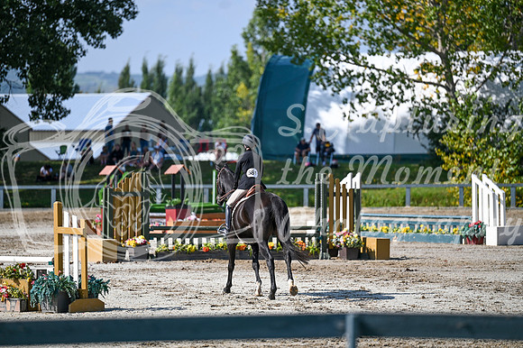 2025 - MJ - Fall Finale - Saturday September 13th - 15471