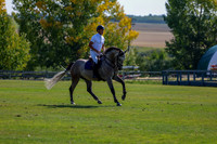 2025 - Shea - Fall Finale - Saturday September 13th - 08813