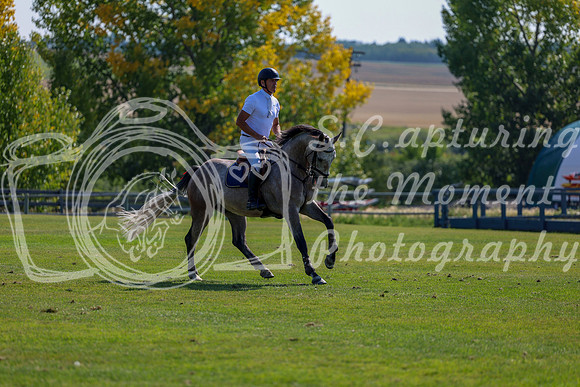 2025 - Shea - Fall Finale - Saturday September 13th - 08813