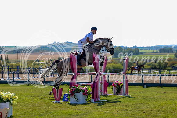 2025 - Shea - Fall Finale - Saturday September 13th - 08816