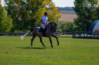 2025 - Shea - Fall Finale - Saturday September 13th - 08814
