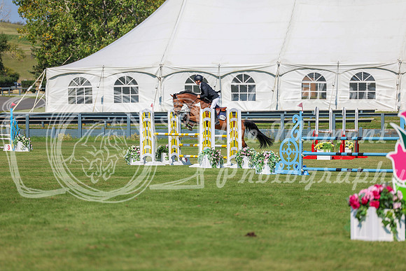 2025 - Shea - Fall Finale - Saturday September 13th - 10552