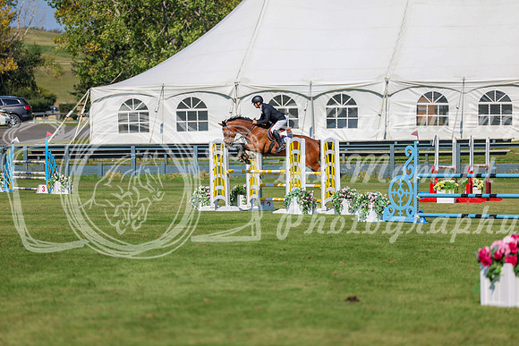 2025 - Shea - Fall Finale - Saturday September 13th - 10555