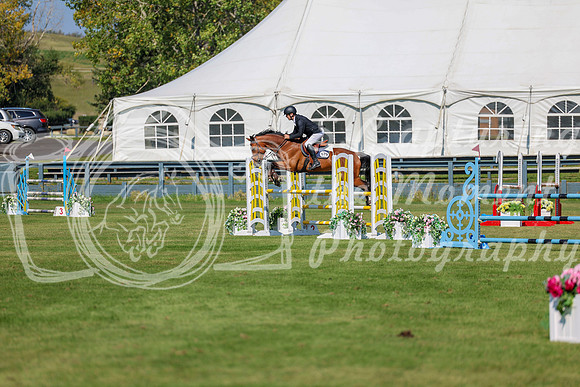 2025 - Shea - Fall Finale - Saturday September 13th - 10556